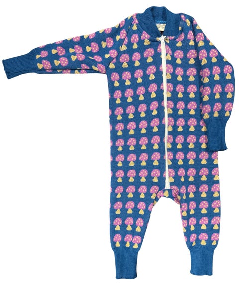 Sieni- merinovillahaalari, sininen